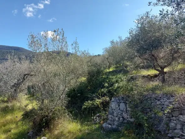 #20508 Terreno con fabbricato da ripristinare
