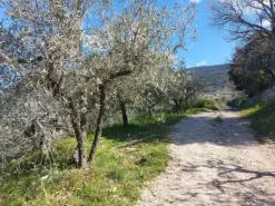 #20508 Terreno con fabbricato da ripristinare