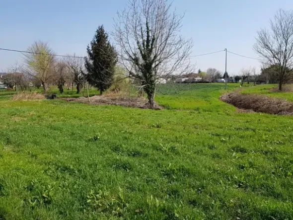 #9980 Terreno da lottizzare di 1.858 mq