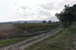 #4762 Terreno di 27.850 mq