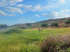 #20553 Terreno di 169.338 mq