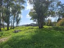 #25677 Terreno di 62.450 mq