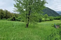 #20889 Terreno di 527 mq in contesto pedemontano