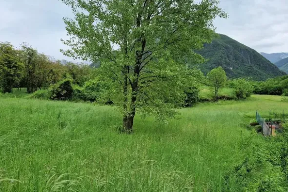 #20889 Terreno di 527 mq in contesto pedemontano