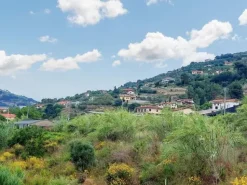#21182 Terreno edificabile artigianale 4.933 mq