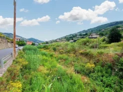 #21182 Terreno edificabile artigianale 4.933 mq
