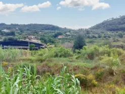 #21182 Terreno edificabile artigianale 4.933 mq