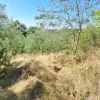 #24123 Terreno edificabile a sviluppo residenziale