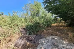 #24123 Terreno edificabile a sviluppo residenziale