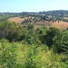 #24123 Terreno edificabile a sviluppo residenziale