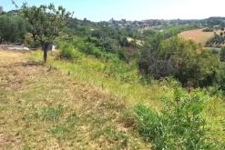 #24123 Terreno edificabile a sviluppo residenziale