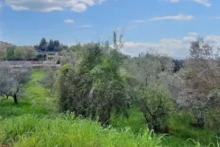 #20712 Terreno edificabile di 5701 mq
