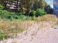 #21621 Terreno edificabile direzionale di 2.700 mq