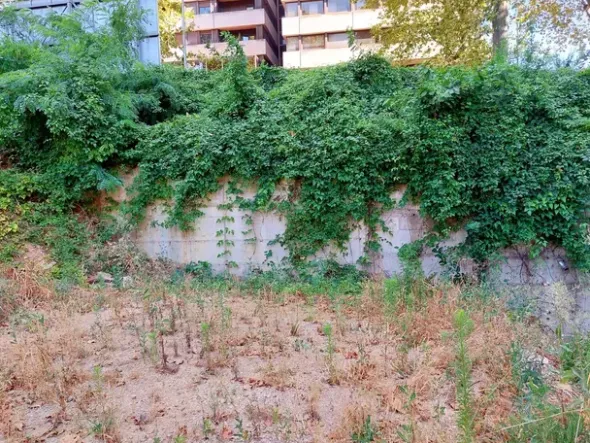 #21621 Terreno edificabile direzionale di 2.700 mq