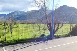 #2638552 Terreno edificabile per commercio e viabilità
