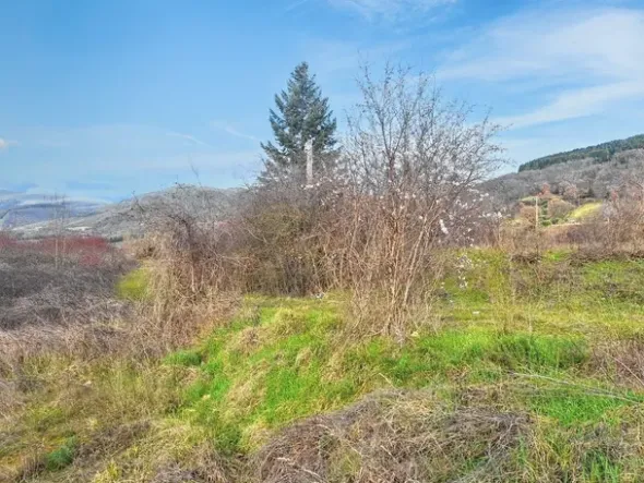 #2516003 Terreno edificabile per insediamenti produttivi