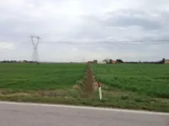 #18510 Terreno edificabile produttivo e agricolo