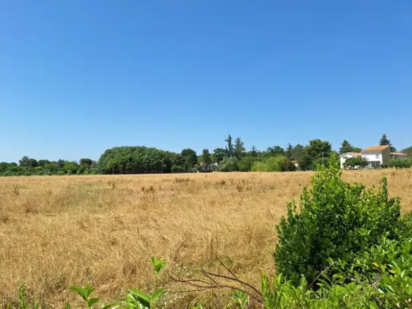 #2536205 Terreno edificabile residenziale di 2.546 mq