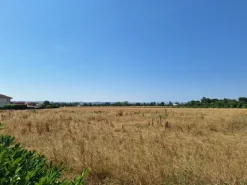 #2536205 Terreno edificabile residenziale di 2.546 mq