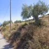 #2537118 Terreno edificabile residenziale 20.337 mq in zona collinare