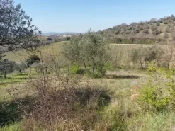 #12302 Terreno edificabile residenziale e agricolo di 5.805 mq