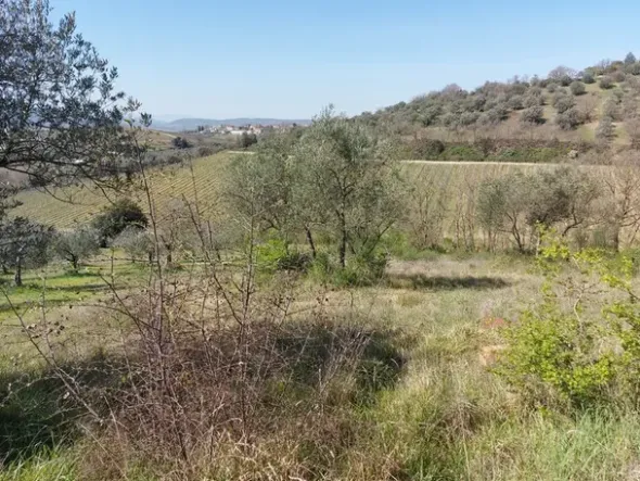 #12302 Terreno edificabile residenziale e agricolo di 5.805 mq
