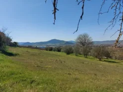 #12303 Terreno edificabile residenziale di 2.100 mq