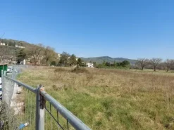 #12301 Terreno edificabile residenziale di 5.356 mq