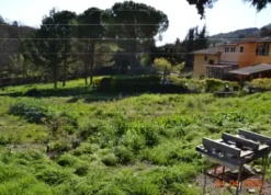 #25117 Terreno edificabile residenziale