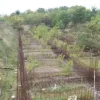 #6933 Terreno edificabile residenziale di 5.877 mq