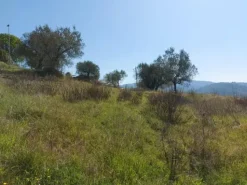 #12302 Terreno edificabile residenziale e agricolo di 5.805 mq