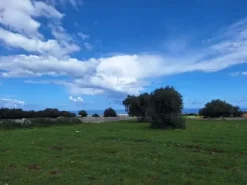 #24452 Terreno parzialmente edificabile vista mare con uliveto a Polignano a Mare