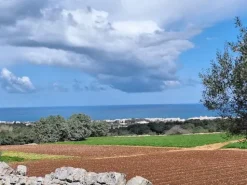 #24452 Terreno parzialmente edificabile vista mare con uliveto a Polignano a Mare