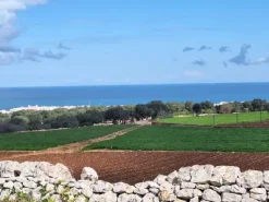 #24452 Terreno parzialmente edificabile vista mare con uliveto a Polignano a Mare