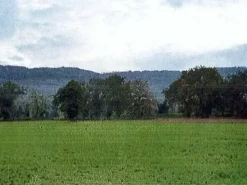 #4798 Terreno parzialmente edificabile di 48.245 mq