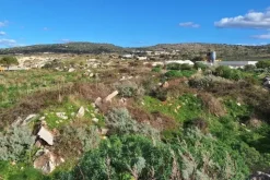 #22824 Terreno per attività estrattive 16880 mq