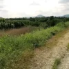 #22912 Terreno produttivo con vasche di lavaggio