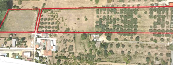 TERRENO ULIVETO AGRICOLO-FONTE NUOVA (RM)