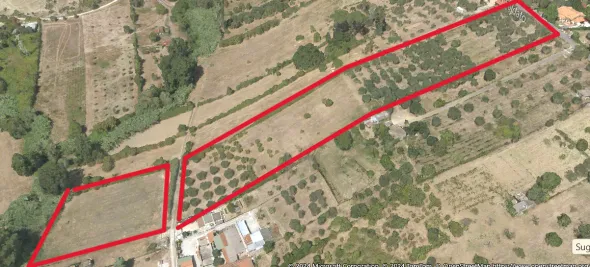TERRENO ULIVETO AGRICOLO-FONTE NUOVA (RM)