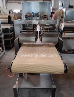 TOGLI LISCHE DI SALMONE CARNITECH CT2612 DOPPIA LINEA