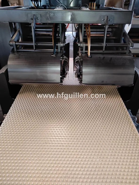 TOGLI LISCHE DI SALMONE CARNITECH CT2612 DOPPIA LINEA