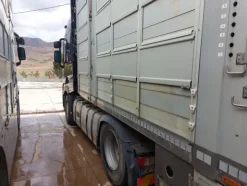 8#8039 Trattore cabinato Renault Truck
