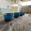 51#9550 Vasche in vetroresina ed acciaio per alimenti