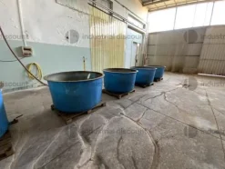 51#9550 Vasche in vetroresina ed acciaio per alimenti