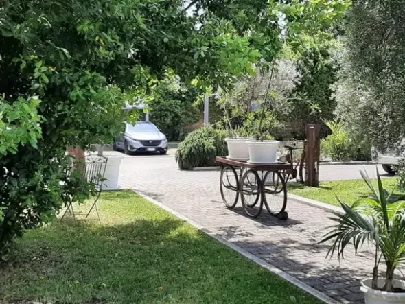 #2536514 Vendesi Attività Avviata Putignano Ristorante in centro