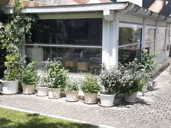 #2536514 Vendesi Attività Avviata Putignano Ristorante in centro