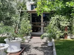 #2536514 Vendesi Attività Avviata Putignano Ristorante in centro