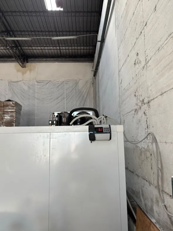 vendesi cella frigo positiva quasi nuova!