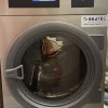 Vendesi lavatrice e essiccatoio