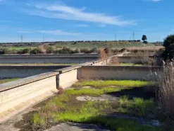 #24436 Vendesi Terreno e Capannoni a Taranto